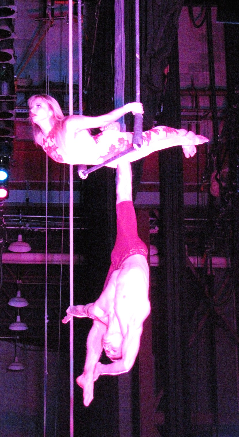 Moskow circus tour